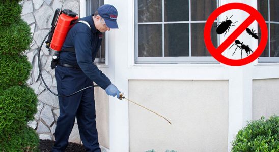 İyidere Dezenfeksiyon böcek ilaçlama ve haşere kontrolü — ilaclama-tr.com